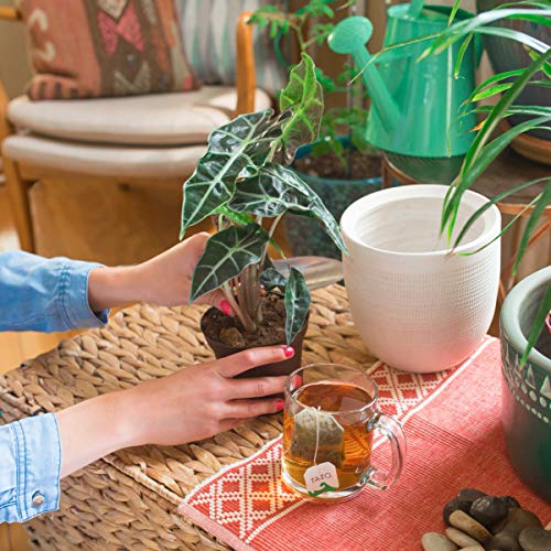 Tazo Tea Bags Sampler Assortment Variety Pack Gift Box - 42 Coun