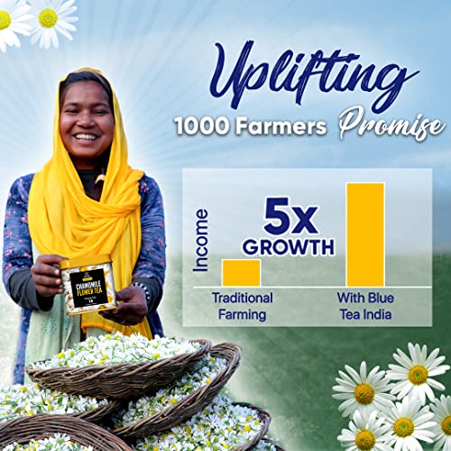 BLUE TEA - Butterfly Pea Flower Lavender Herbal Tea - 15 Tea Bag...