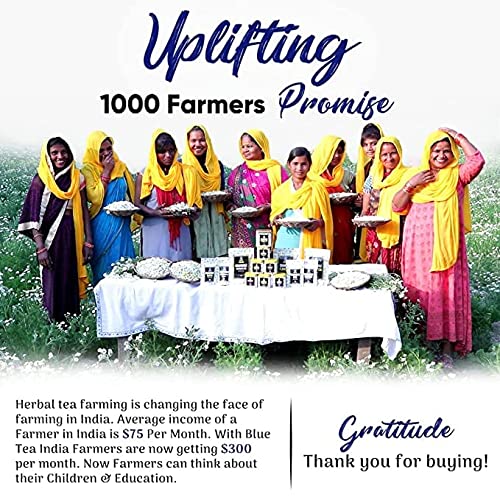 BLUE TEA - Ginger Turmeric Tea - 30 Tea Bags | Herbal Tea - Caff...