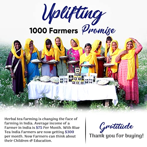 BLUE TEA - Turmeric Ashwagandha Tea Bags - 15 Tea Bags || INDIAN...