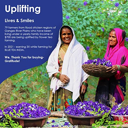 BLUE TEA - Turmeric Pepper Tea Bags - 15 TB || INDIAN SUPERFOOD ...