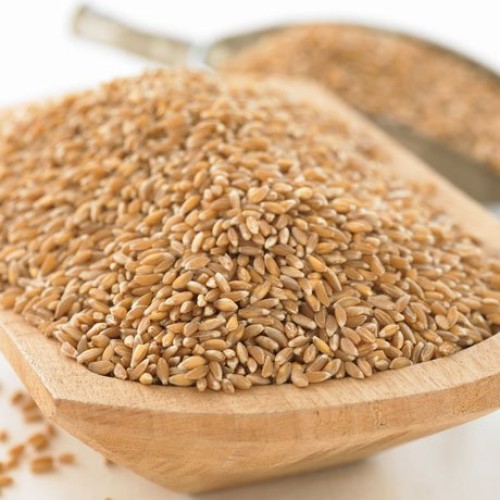 Organic Emmer Farro, 1 Lb.