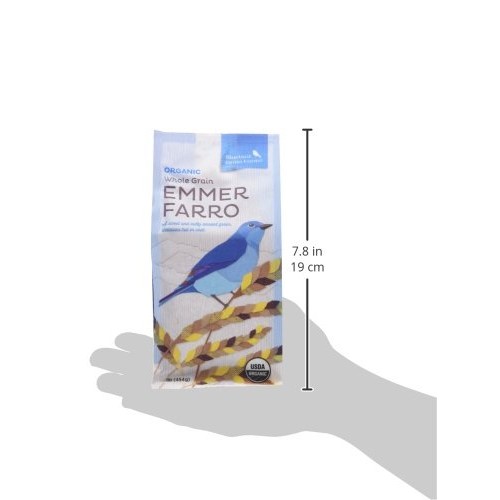 Certified Organic Heirloom Wheat Whole Grain Emmer Farro Washing