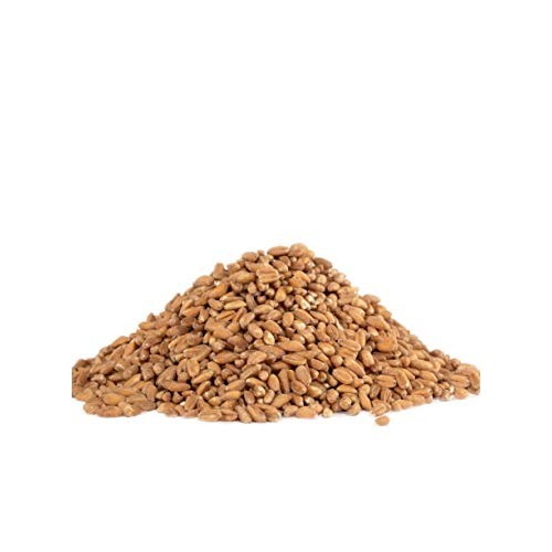 Bobs Red Mill Organic Farro Grain, 24-Ounce Pack Of 4
