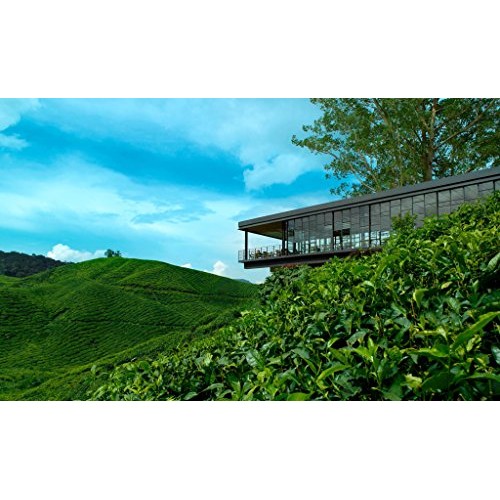 Boh Malaysia Ice Cold Refreshing Instant Tea Mix/Orchard Splash