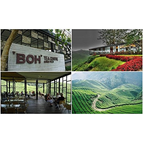 Boh Malaysia Ice Cold Refreshing Instant Tea Mix/Orchard Splash