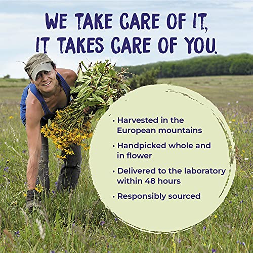 Boiron Arnicare Cream for Soothing Relief for Joint Pain, Muscle...