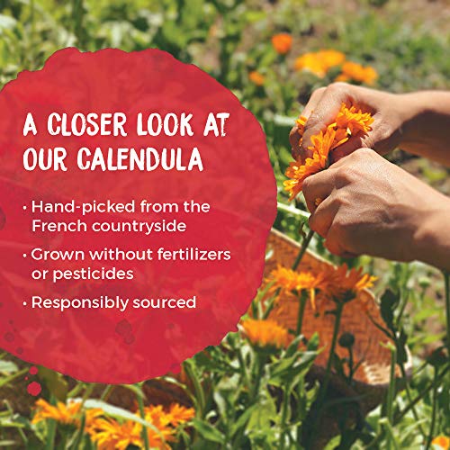 Boiron Calendula Cream for First Aid, Minor Burns, Cuts, Scrapes...