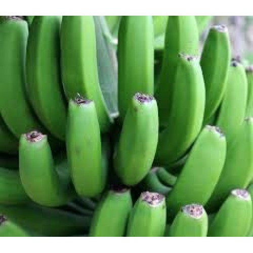 First Lights Original Fresh Green Organic Premium Grade A Matoo