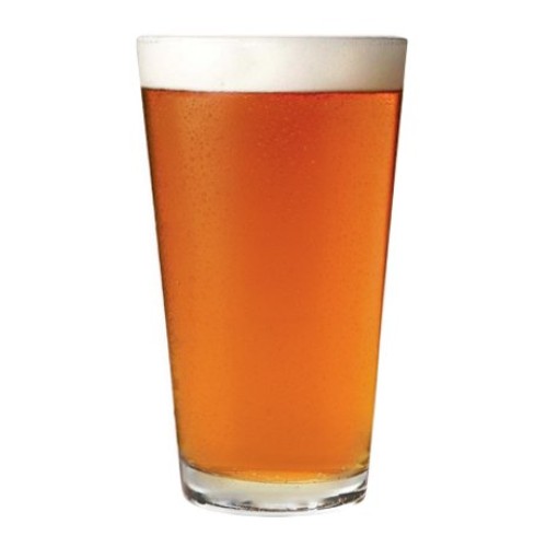 Dehydrated Zombie Splatterfest Ipa, Beer Making Extract Kit Zom