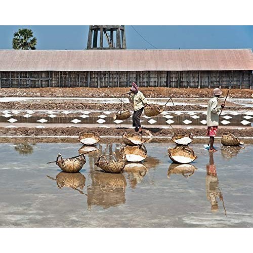 Botree Farms Kampot Fleur De Sel, Organic Sea Salt, 5.2 Ounces