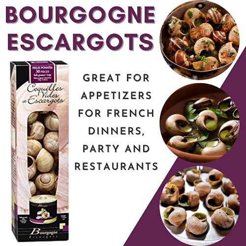 French Bourgogne Snails With Shells, 24 Snails With 24 Shells