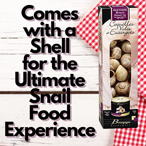French Bourgogne Snails With Shells, 24 Snails With 24 Shells