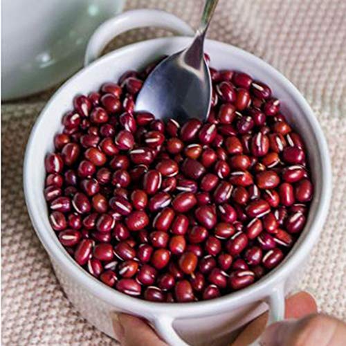 Bowl Steamed Egg Bowl Bowl With Lid Instant Noodle Bowl Stewed C