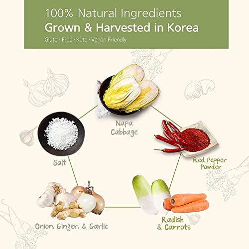 Bowné Vegan Kimchi – Korean Pickled Sauerkraut With Spicy Season