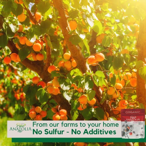 Organic Sun Dried Apricots by Pure Anatolia 6 Packs of 5 Ounce