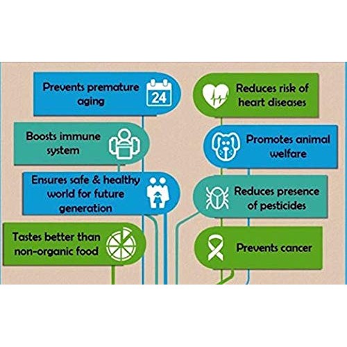 Royal Usda Organic Medjool Dates 2 Lbs. Kosher Cetified