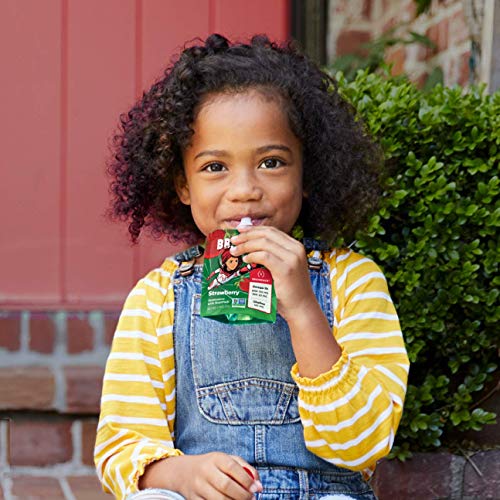 Brainiac Kids Applesauce Pouches, Apple Cinnamon, 20 Count, 3.2