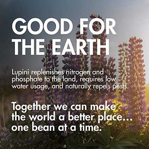 Brami Lupini Beans Snack, Garlic &Amp; Rosemary | 7G Plant Protein,