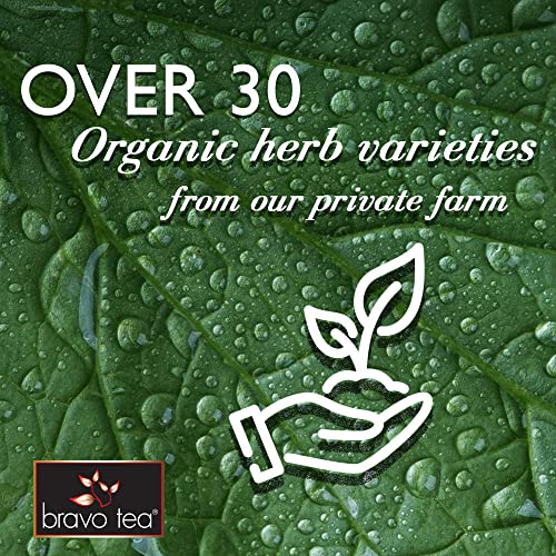 Bravo Tea Absolute White Mulberry Leaf Herbal Tea Caffeine Free,...