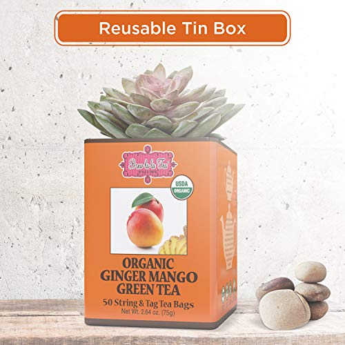Brew La La Organic Green Tea - Ginger Mango Flavor - 50 Tea Bag