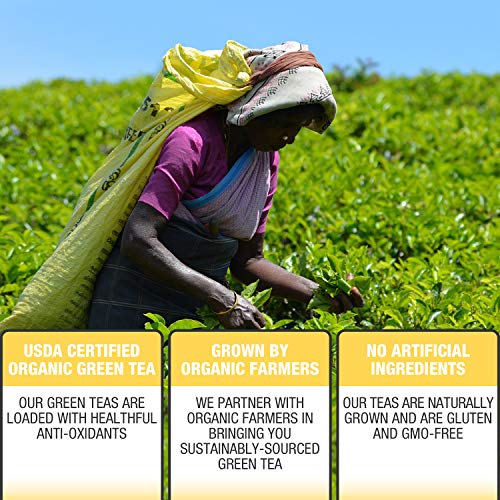 Brew La La Organic Green Tea - Natural Chamomile Lemon - 50 Tea