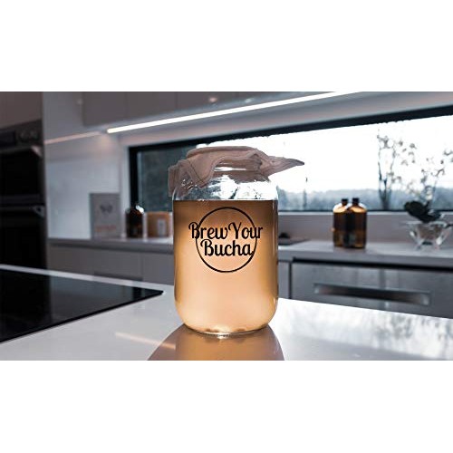 Brew Your Bucha Kombucha Tea Scoby With Starter Fluid. 1 Scoby