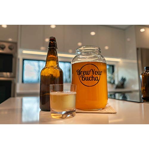 Brew Your Bucha Kombucha Tea Scoby With Starter Fluid. 1 Scoby