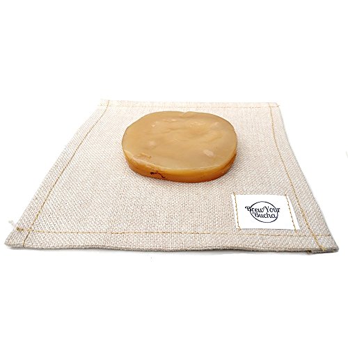 Brew Your Bucha Kombucha Tea Scoby With Starter Fluid. 1 Scoby