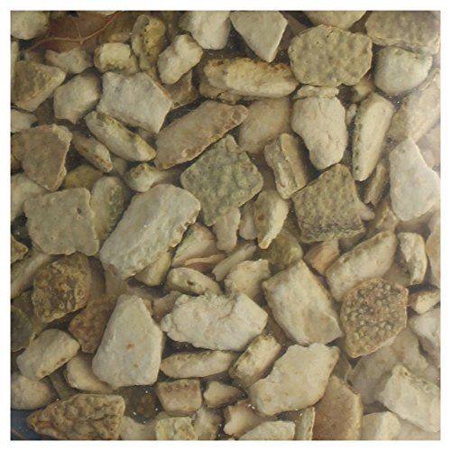 Brewers Best Bitter Orange Peel 1 Oz.