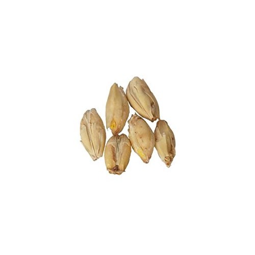 Malt - 2-Row Pale - 10 Lb