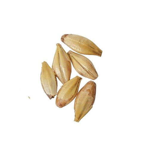 Malt - Caramel 10L - 5 Lb