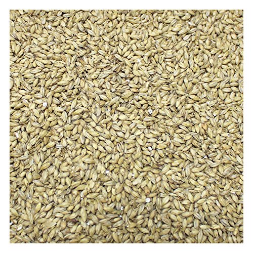 Briess 2-Row Brewers Malt For Home Brewing-50 Lbs.