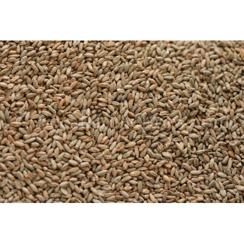 Rye Malt 5 Lb By Briess