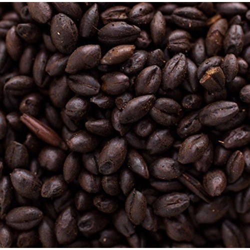 Briess 2-Row Chocolate Brewing Malt Whole Grain 1Lb Bag