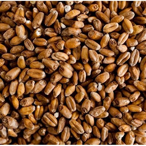 Briess Red Wheat Malt Home Brewing Malt Whole Grain 1Lb Bag