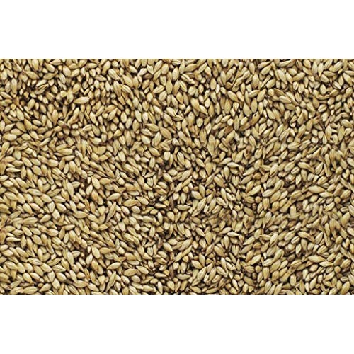 Malt - Briess - Brewers Malt 2-Row 50 Lb Sack, Brown 1928C