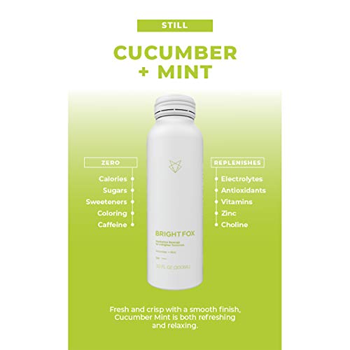 Brightfox Hydration Beverage | Vitamins B5, B6, E Minerals Zi