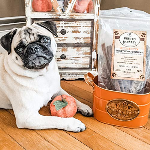 Sweet Potato Dog Treats - Grain Free, Cinnamon Pumpkin Crunchy S