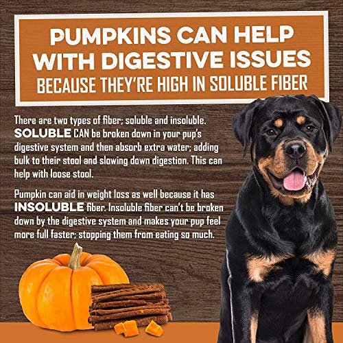 Sweet Potato Dog Treats - Grain Free, Cinnamon Pumpkin Crunchy S