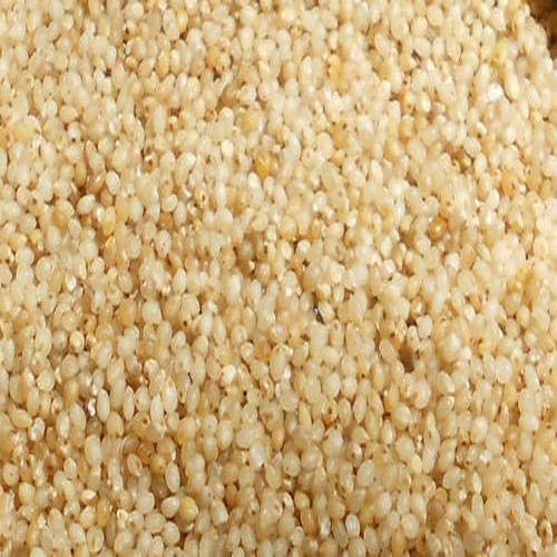 Bsd Organics Healthy Panicum Sumatrense Millet / Sama - 100 G /