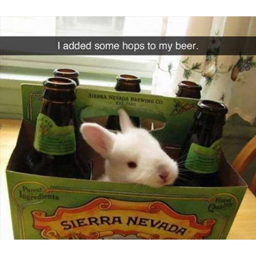 Hops Cascade 8Oz Factory Packed Pellet Hops For American Craft B