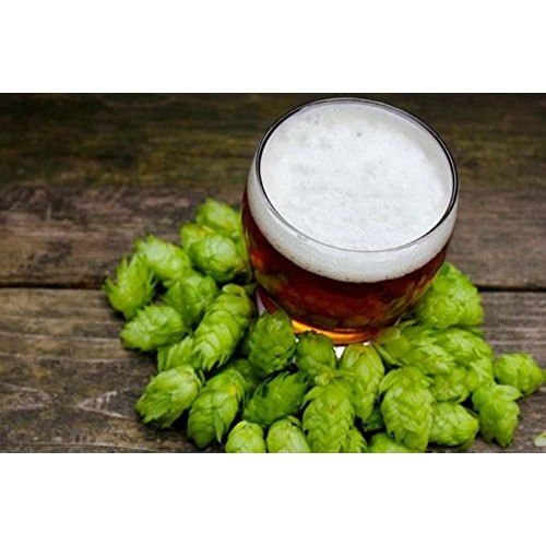 Hops Cascade 8Oz Factory Packed Pellet Hops For American Craft B