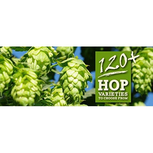 Hops Cascade 8Oz Factory Packed Pellet Hops For American Craft B