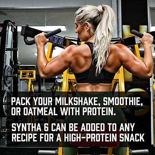 Bsn Syntha-6 Whey Protein Powder, Chocolate Protein Powder With