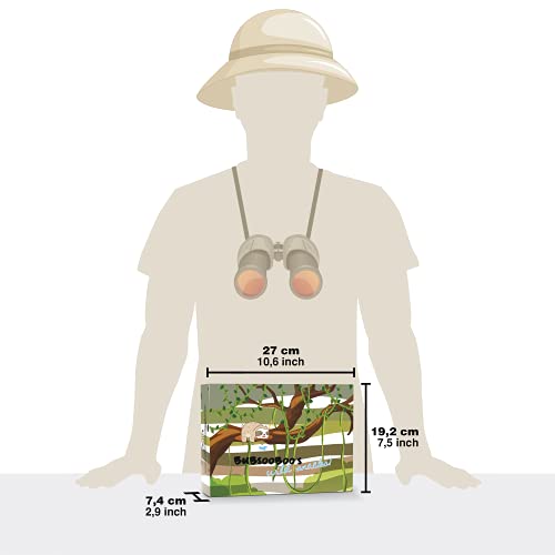 Maxi International Snack Box | Snacks Variety Pack of Internatio...