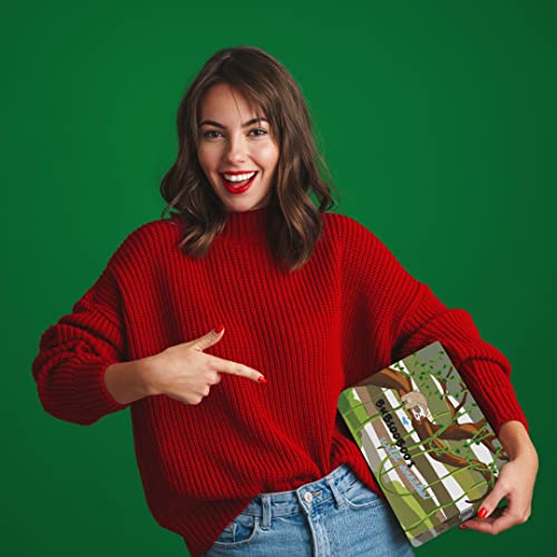 Maxi International Snack Box | Snacks Variety Pack of Internatio...