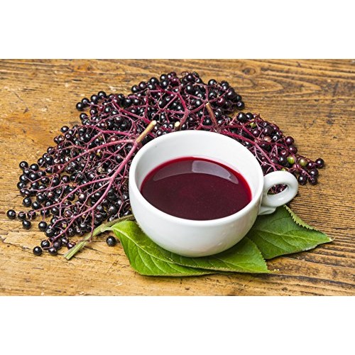 Elderberry Tea - Organic Herbs - 2 Pack 36 Bleach Free Tea Bags