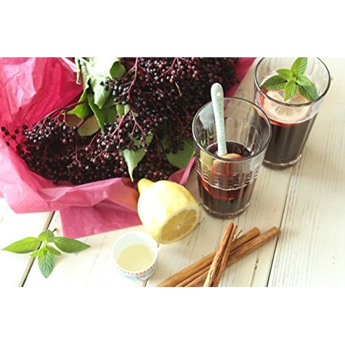 Elderberry Tea - Organic Herbs - 2 Pack 36 Bleach Free Tea Bags