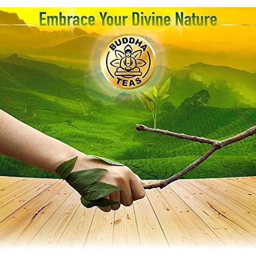 Organic Blackberry Leaf Tea - Kosher, Caffeine-Free, Gmo-Free -